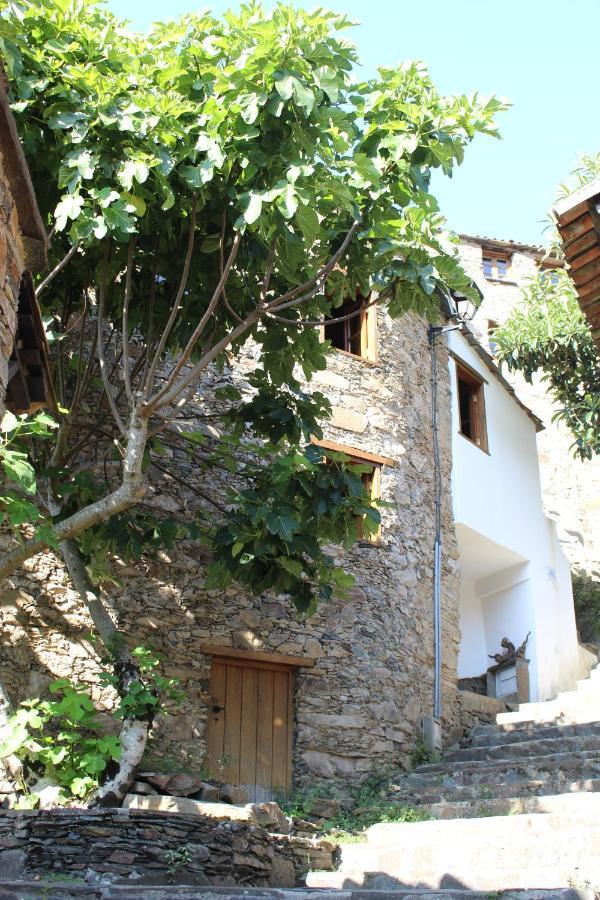 Villa Casa Da Carvalha Lousã Exterior foto